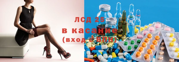 прущие грибы Володарск