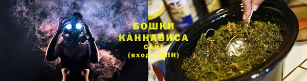 винт Верея