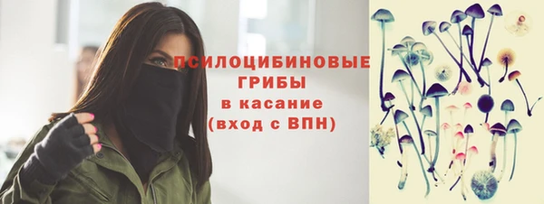 прущие грибы Володарск