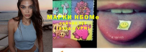 прущие грибы Володарск