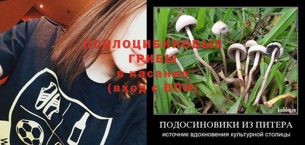 прущие грибы Володарск