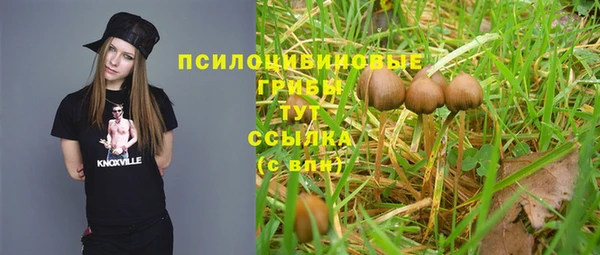 винт Верея