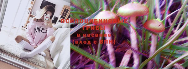 прущие грибы Володарск