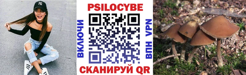 Купить  Георгиевск  Галлюциногенные грибы ЛСД 