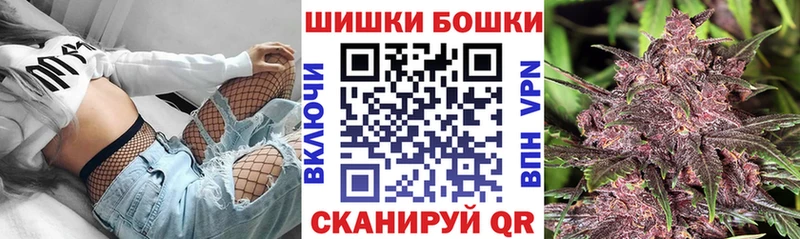 Купить  Георгиевск  Бошки Шишки сатива 